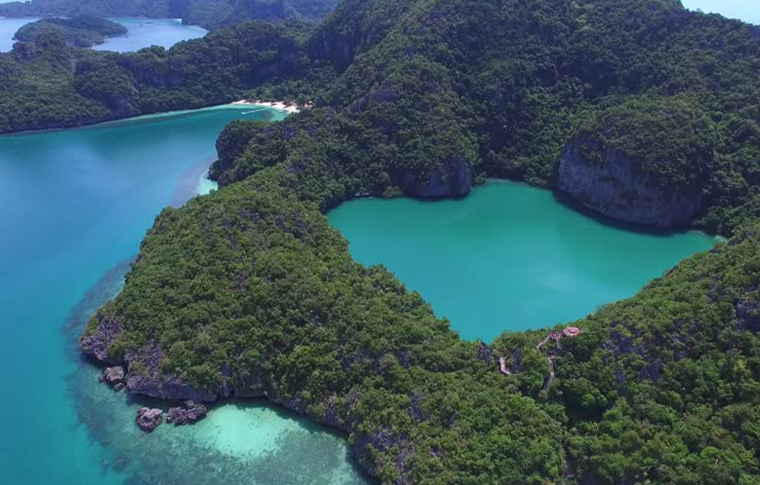 Birds eye view of an island covered in trees and surrounded by beautiful green waters