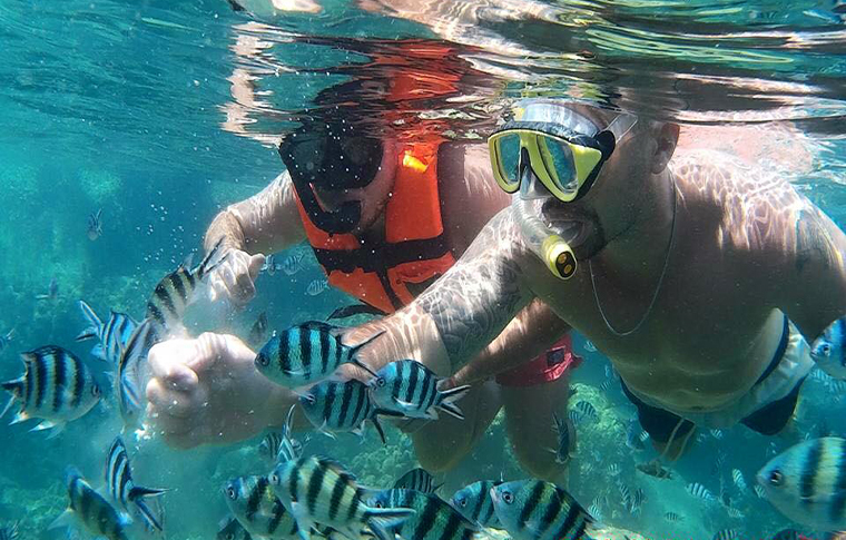 2 snorkelers saying hello to a shoal of colourful tropical fish